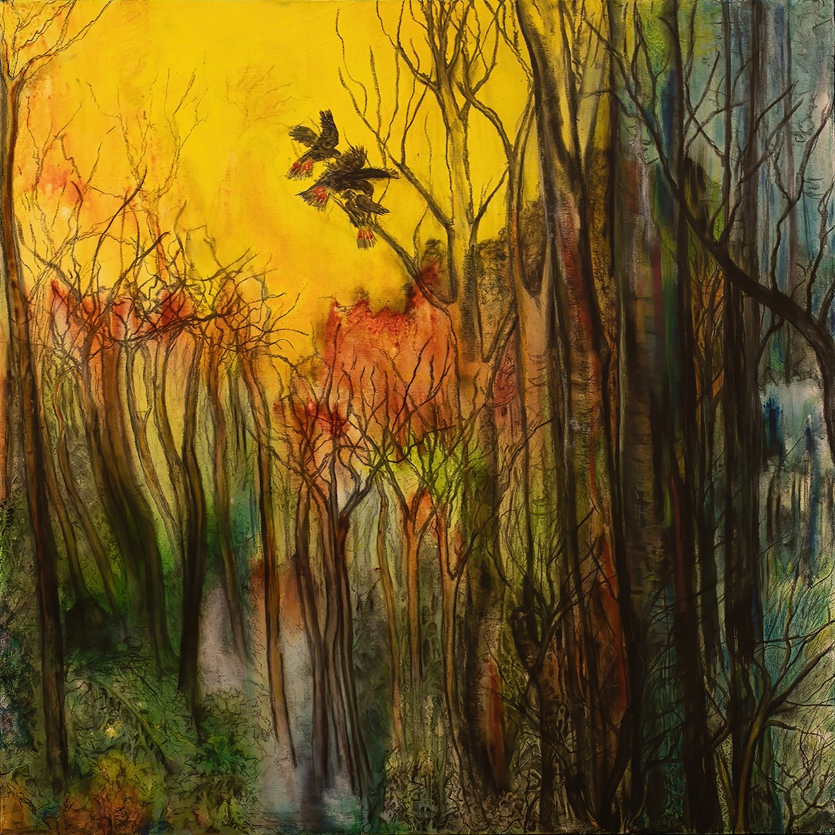 After the Bushfire - Fine Art Print - Studio One Noosa