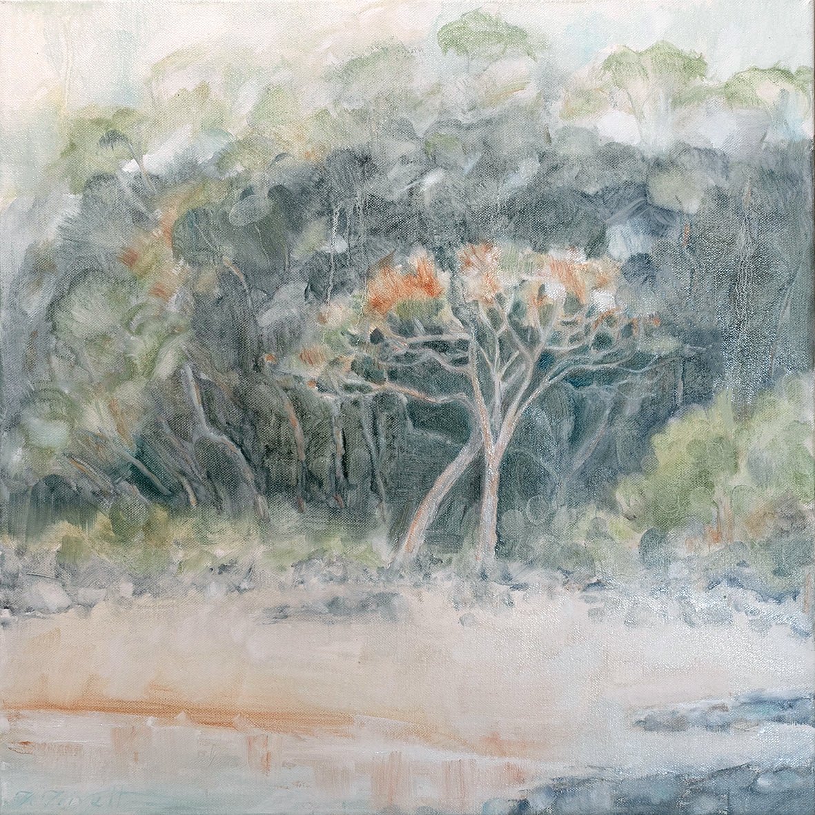 Love Trees @ Tea tree #2 - LIMITED EDITION - Fine Art Prints - Studio One Noosa