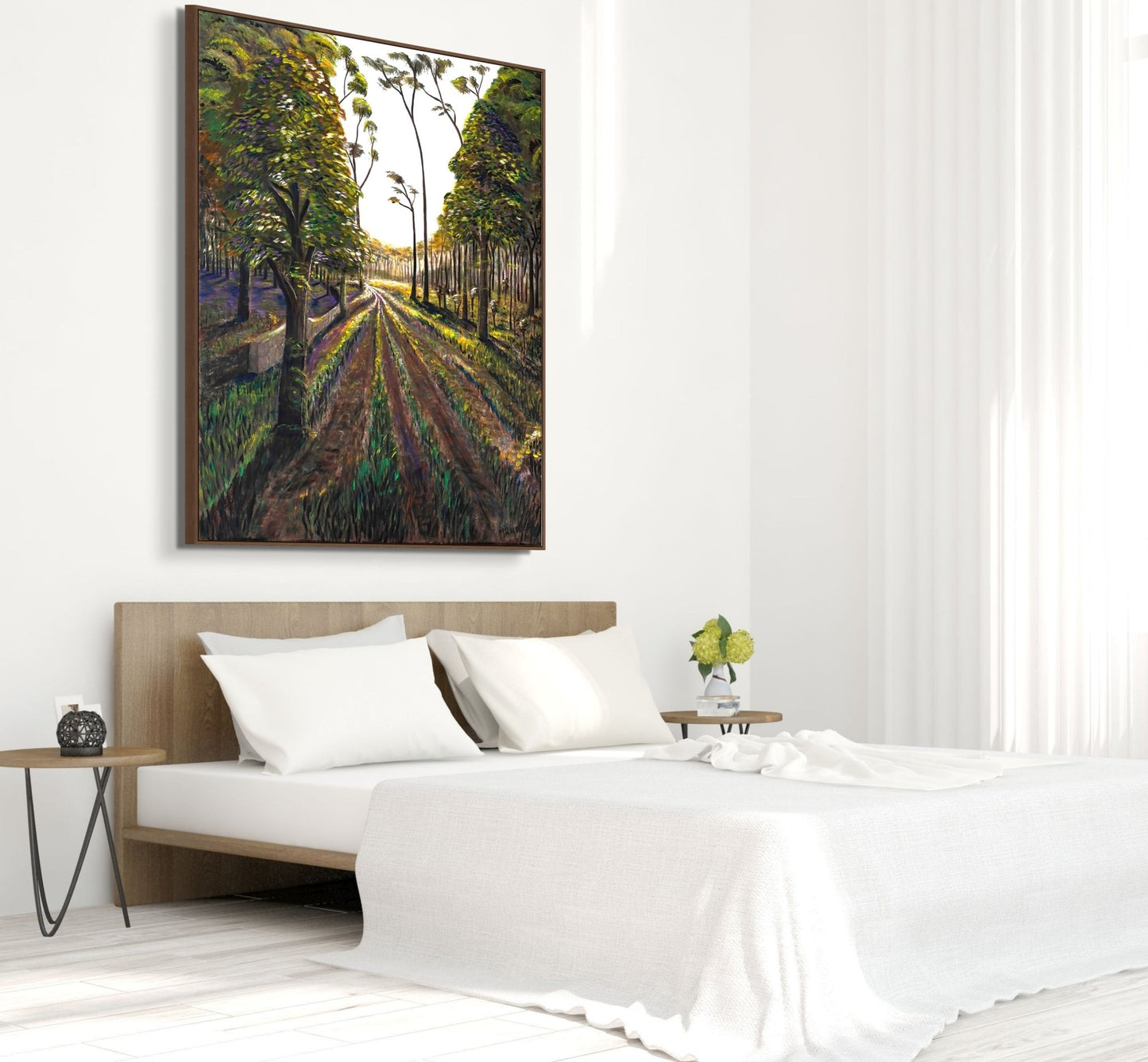 Nature Taking Back The Road - Fine Art Prints - Studio One Noosa