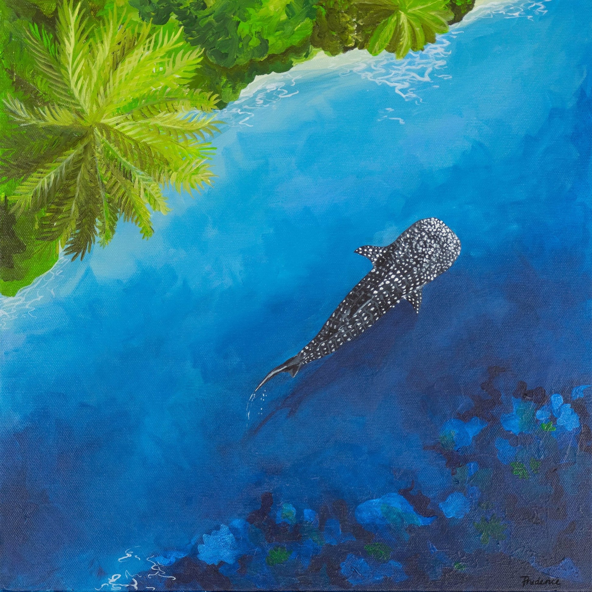 Whale Shark Paradise I - Fine Art Prints - Studio One Noosa